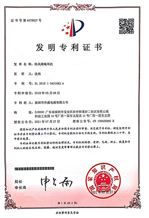 实用新型专利1